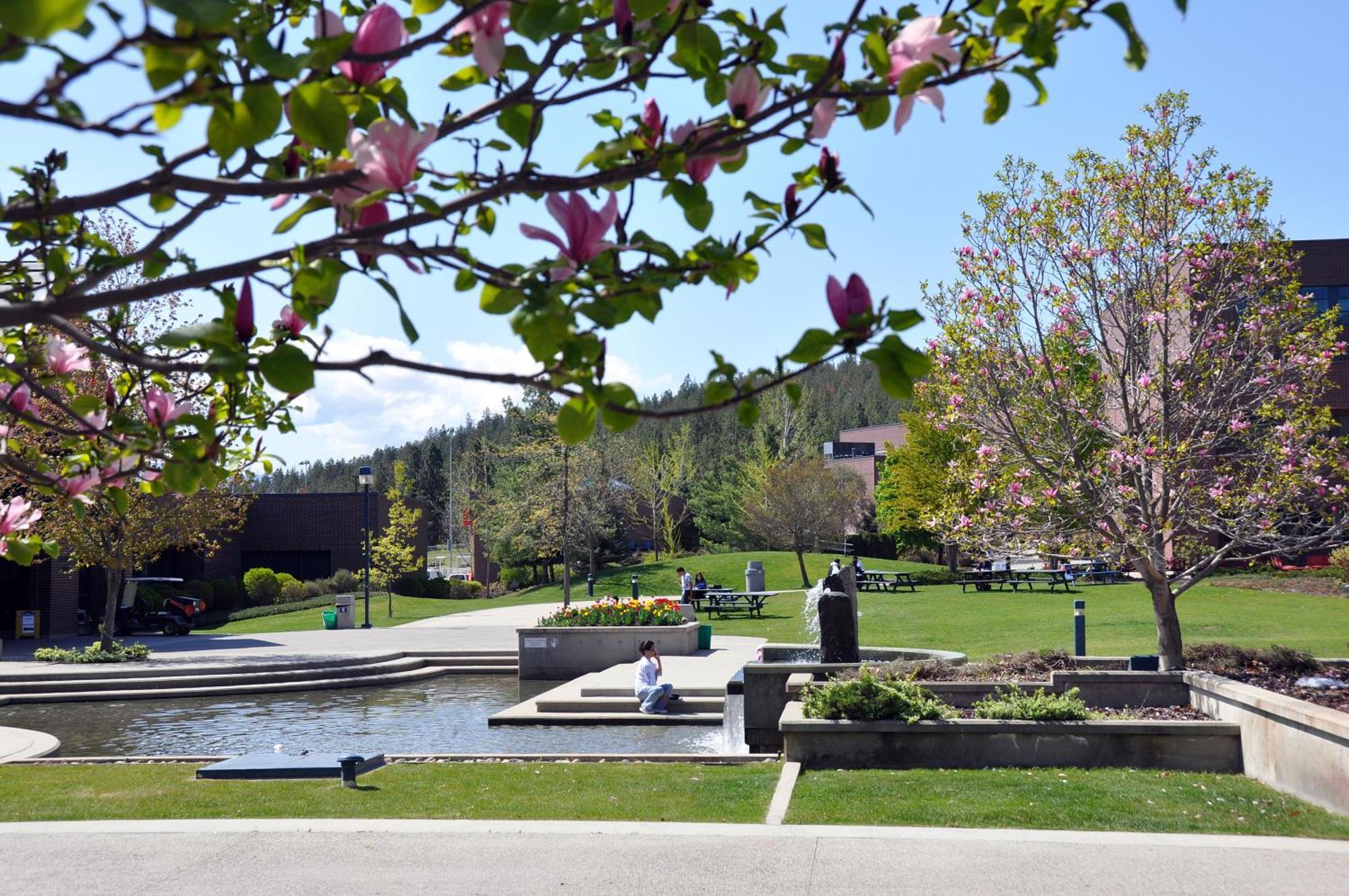 קלונה Ubc Okanagan Campus מראה חיצוני תמונה
